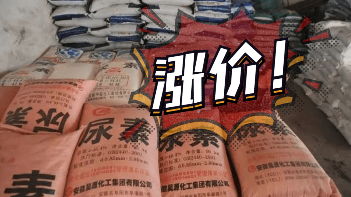 一噸再漲100元，將突破2800元！已經(jīng)連續暴漲近400元！多地價(jià)格再創(chuàng  )新高！9月14日（附最新報價(jià)）！
